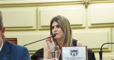 Mancini propone un Proyecto de Ley para cuidar la salud mental en el ámbito escolar.
