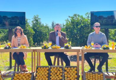 SE LANZÓ LA 35 FIESTA PROVINCIAL DEL CITRUS.