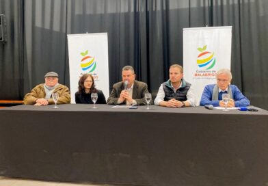LA FIESTA PROVINCIAL DEL CITRUS Y SU IMPACTO COMO MOTOR DEL DESARROLLO ECONÓMICO Y PRODUCTIVO DE MALABRIGO.